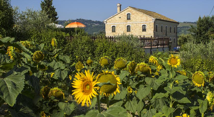 Casolare nelle Marche con ampio parco verde  