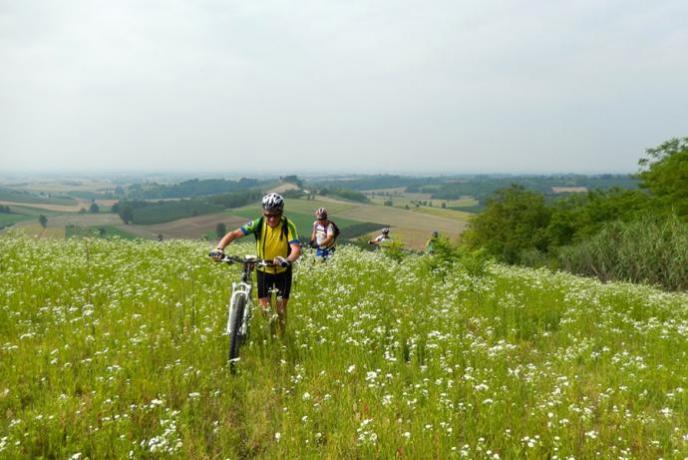 Biciclette disponibili in Agriturismo 