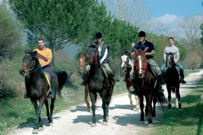 Divertimento in Umbria
