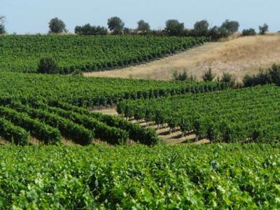 Hotels with View over the Tuscany Wineyards