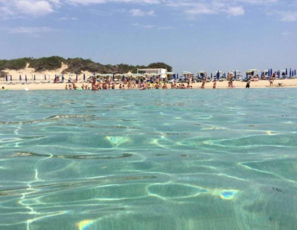 Spiaggia privata attrezzata Resort Porto-cesareo