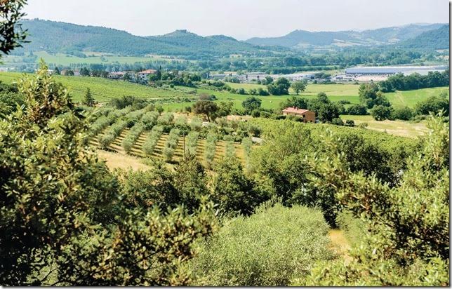 Casa vacanza con vista panoramica nel verde Magione 