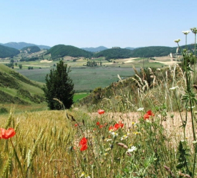 La piana di Colfiorito