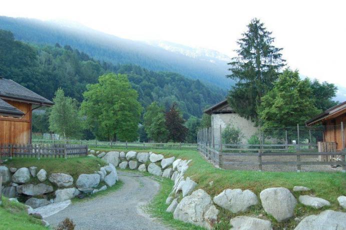 Viale agriturismo Parco Adamello Brenta vicino Pinzolo