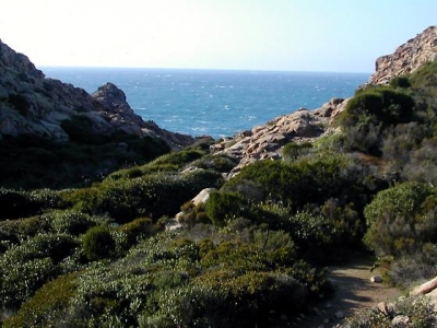 escursioni sull'Isola di San Pietro