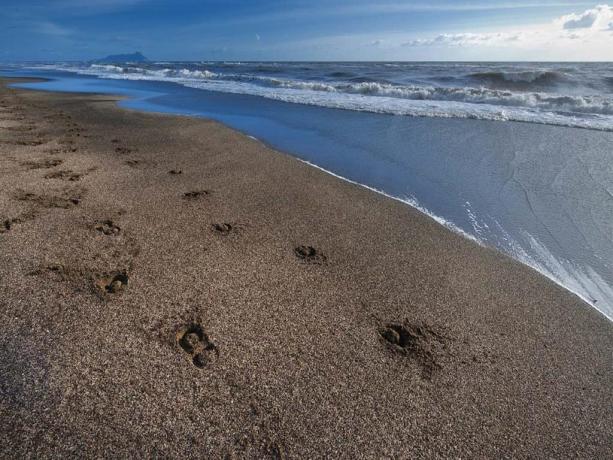 Albergo 4 stelle a Latina con spiaggia privata 