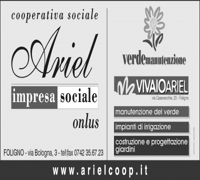 logo ariel