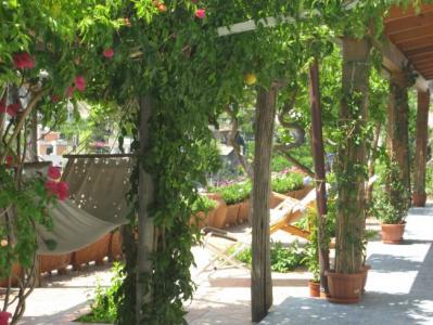 Solarium e limoneto