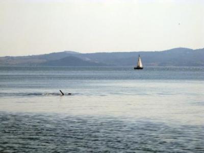 Weekend Benessere al Lago di Bolsena