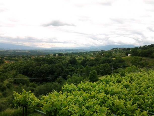 Casale con Ristorante Biologico in Calabria 