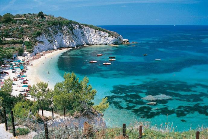 Le spiagge dell'Isola d'Elba 