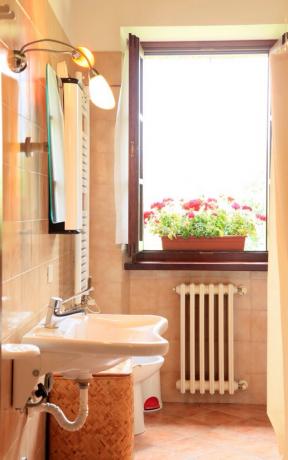 Agriturismo Podere Luchiano: appartamento Elio con bagno privato