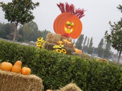 vacanze con bambini a leolandia
