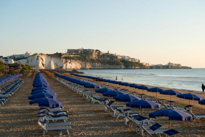 Spiaggia e Panorama di Vieste 