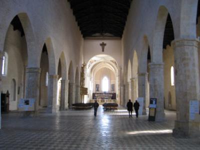 Visita la Chiesa di Santa Maria di Collemaggio