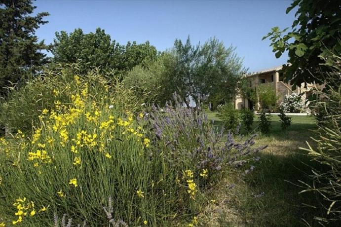 Enormi distese verdi in Agriturismo a Jesi