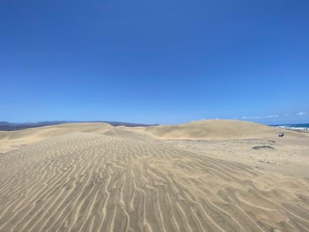 Calyx csc vicino alle Dune di Maspalomas 