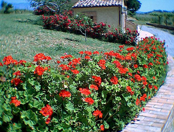 Casale ideale per Famiglie ad Altomonte 