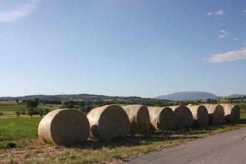 Agriturismo in campagna in Umbria 