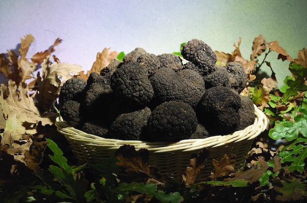 Umbria Norcia Offerte Gruppi Pranzi Tartufo