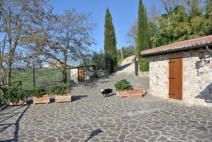 B&B casale San Terenziano immerso nella natura