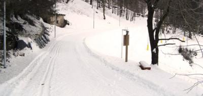 Alpine or cross country-skiing in Carona