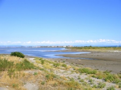 hotel vicino grado