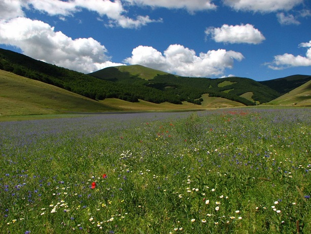 Parchi naturali delle Marche 