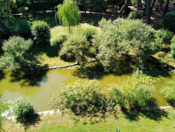 Casolare in Umbria con laghetto e ninfee