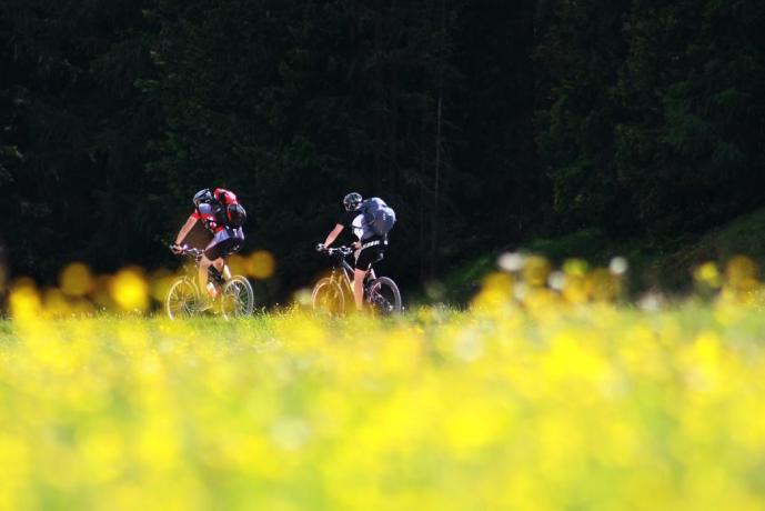 escurzioni mountain bike organizzati dalla nostra struttura	 