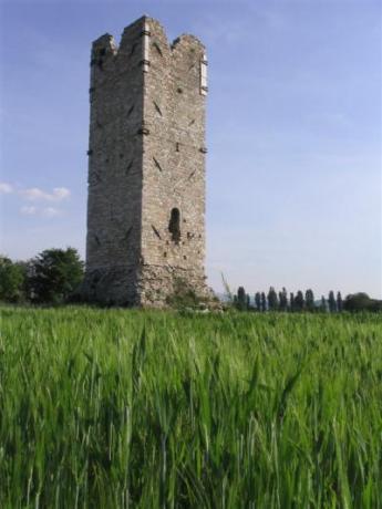 Torre di Acquatino vicino agriturismo con appartamenti