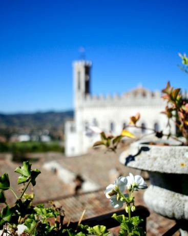 Soggiorno in Umbria nei centri Gubbio, Spello, Assisi