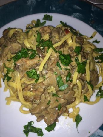 Primo Piatto funghi Porcini - Assisi