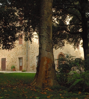 particolare tenuta