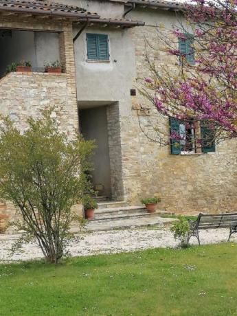 Passeggiate nei sentieri a piedi o in bicicletta
