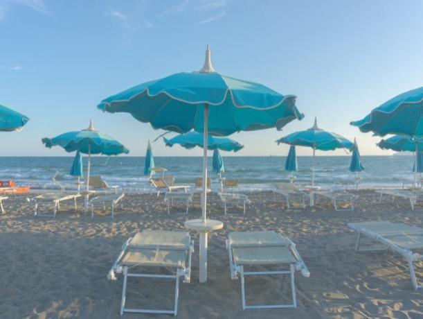 Spiaggia Privata Pet Friendly  