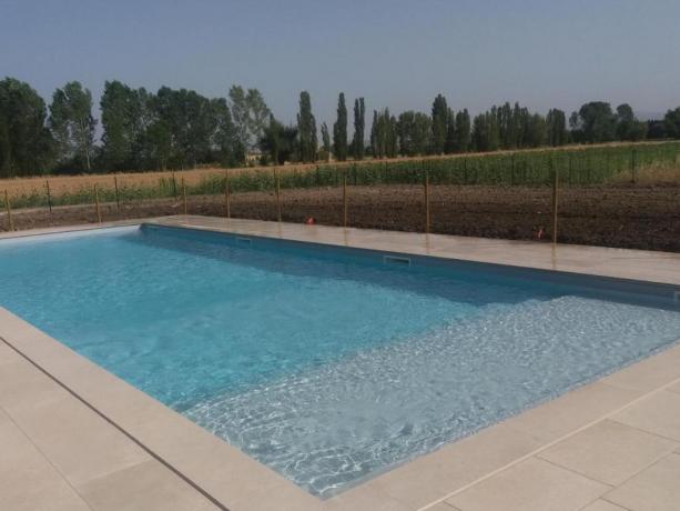 Bellissima Piscina Esterna nella Campagna dell'Umbria 