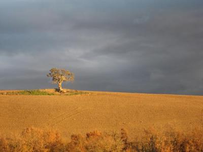 Il Prezzo piú Basso per Dormire a Tuscania