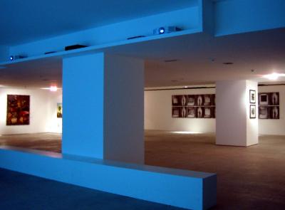 Progettazione illuminazione e teche per mostra arte