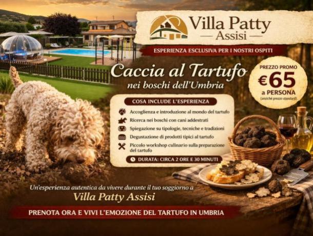 Esperienza Caccia Tartufo Umbria con Degustazione 65euro
