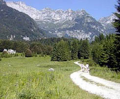 Skiing, trekking, hoarseriding or climbing in Piancavallo