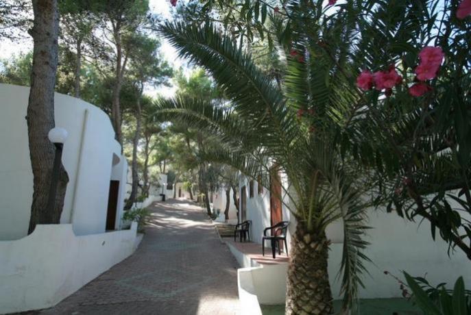 Villaggio con camere e appartamenti