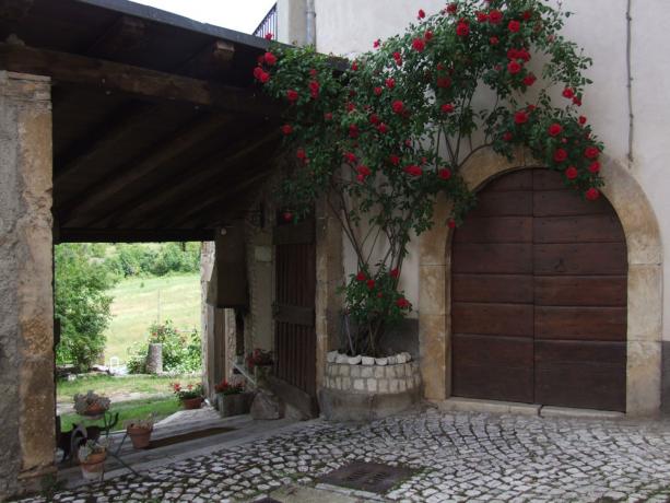 Appartamenti con cortile curato Borgo di San Pio