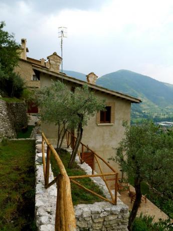 Casa vacanza tra gli ulivi, camere e appartamenti