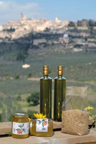 Azienda Agraria prodotti biologici Trevi