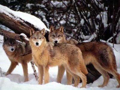 Visit the National Park Of Majella in Abruzzo