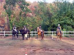 Campus Equestre per bambini da 7 anni 