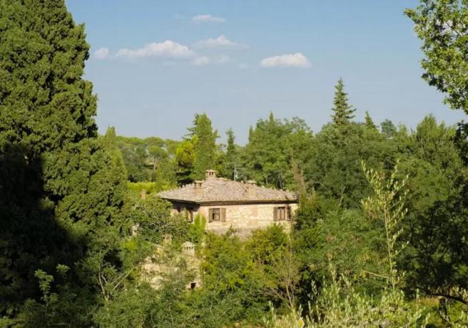 Podere a Montepulciano immerso nella Natura