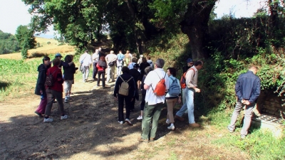 camminanda 2007 promontefalco
