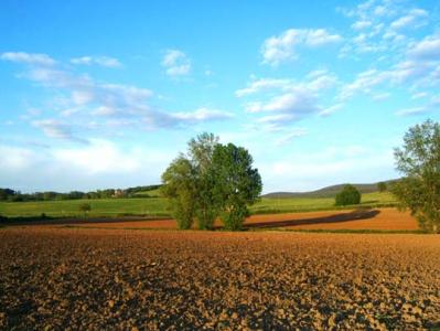 Offerte Last Minute per la Vacanza in Toscana